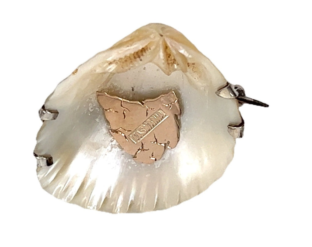 Shell Brooch with 9ct yellow Gold Tasmania & Sterling Silver Setting