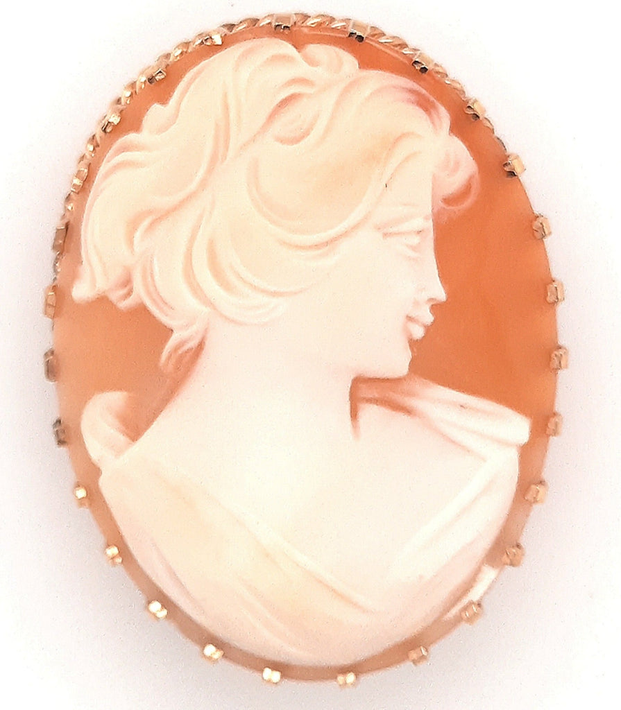 Cameo Portrait Vintage Brooch with Gold Plated Surround