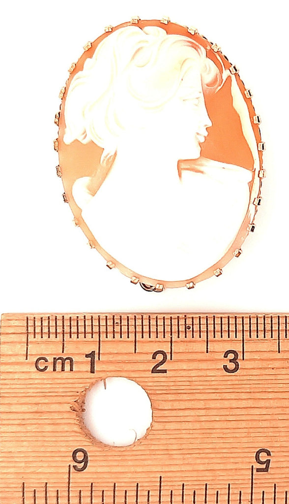 Cameo Portrait Vintage Brooch with Gold Plated Surround