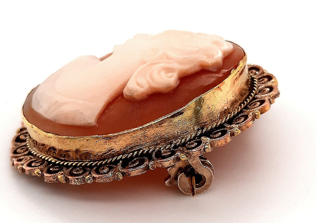 Vintage Cameo Brooch/Pendant with Gold Plated Surround