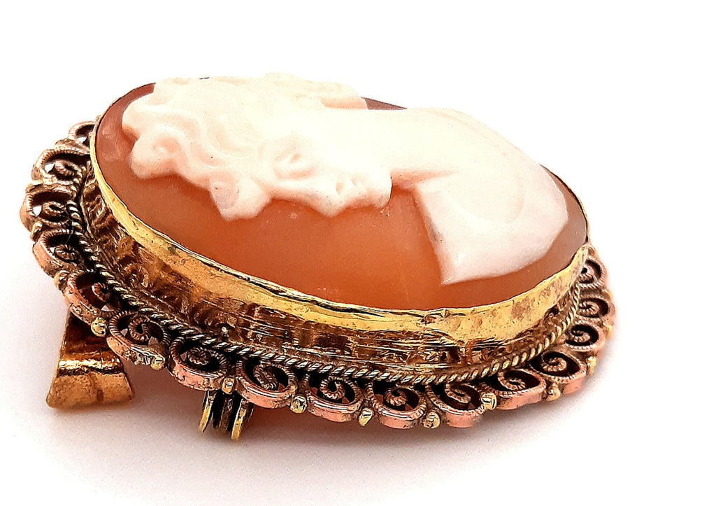 Vintage Cameo Brooch/Pendant with Gold Plated Surround