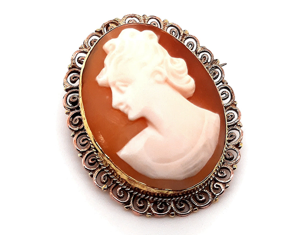 Vintage Cameo Brooch/Pendant with Gold Plated Surround