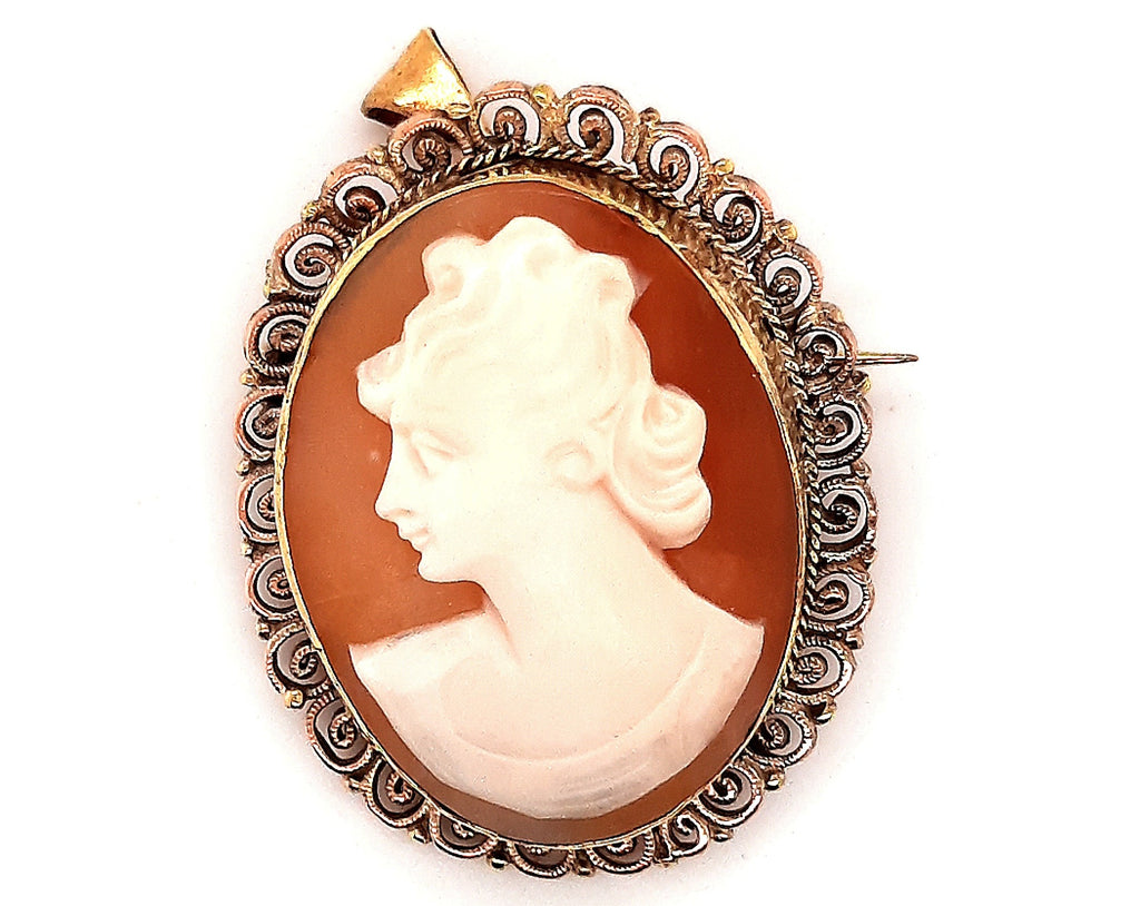Vintage Cameo Brooch/Pendant with Gold Plated Surround